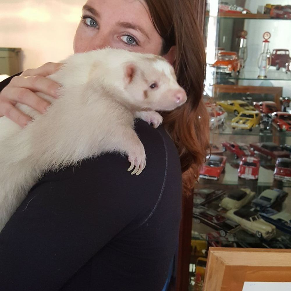 Meet your Posher, Lisa